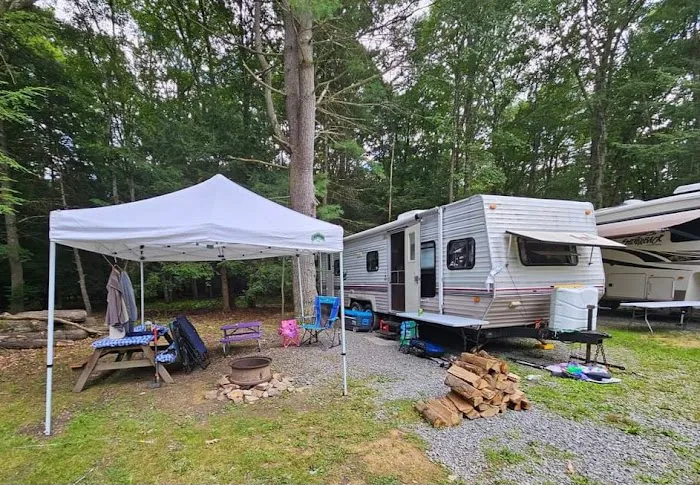 Colors of the Forest RV Resort and Campground Picture 1