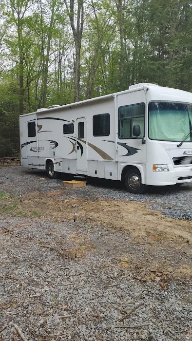 Colors of the Forest RV Resort and Campground Picture 9