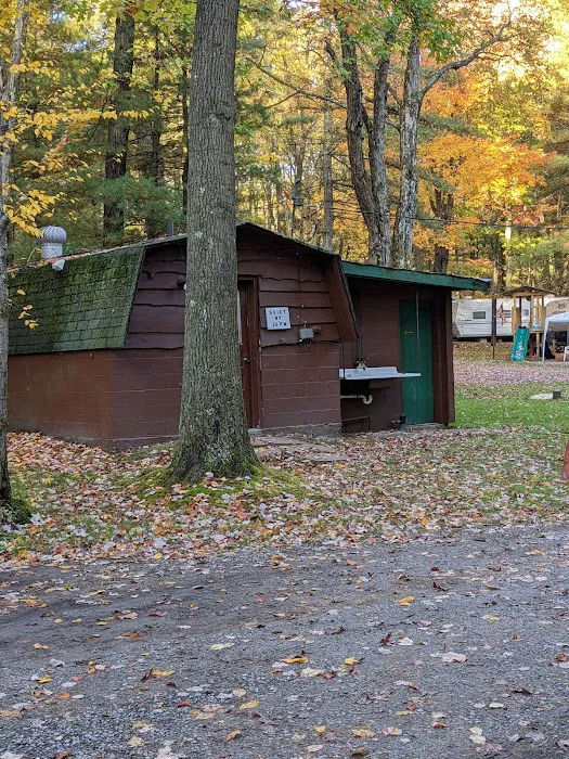 Colors of the Forest RV Resort and Campground Picture 6