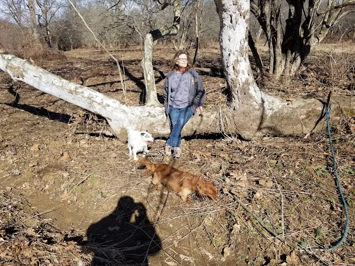 Kellettville Recreation Area Campground Picture 10