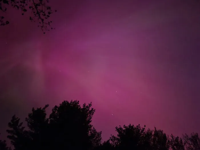 Kellettville Recreation Area Campground Picture 3