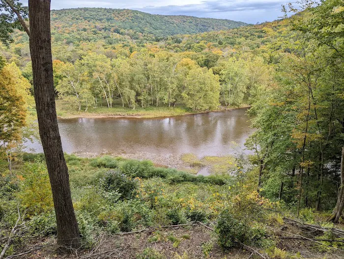 Kellettville Recreation Area Campground Picture 5