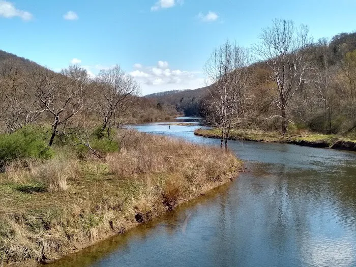 Kellettville Recreation Area Campground Picture 7