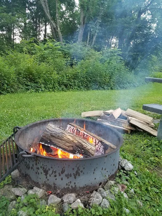 Kellettville Recreation Area Campground Picture 4