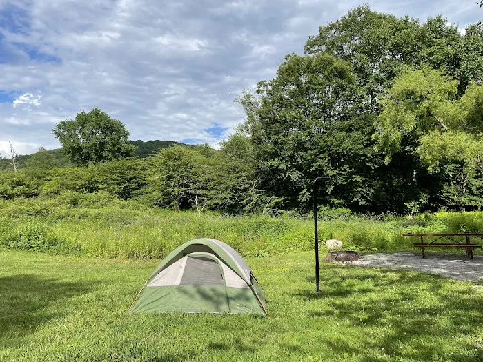 Kellettville Recreation Area Campground Picture 6