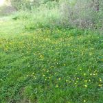 Kellettville Recreation Area Campground