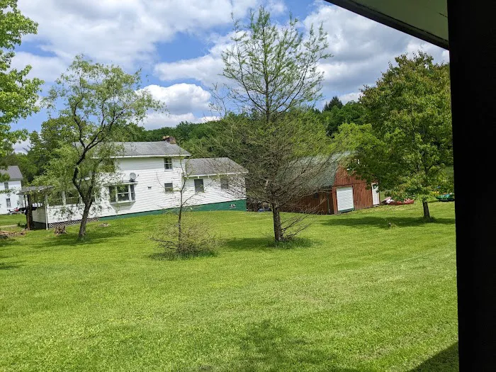 Kellettville Recreation Area Campground Picture 8