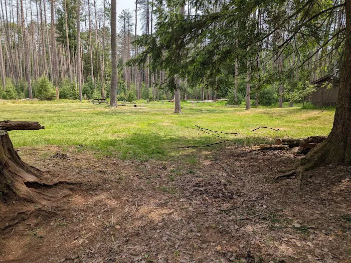 Cook Forest Group Sites Picture 3