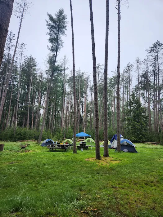 Cook Forest Group Sites Picture 2