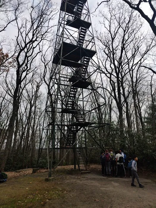 Cook Forest Group Sites Picture 1