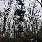 Cook Forest Group Sites