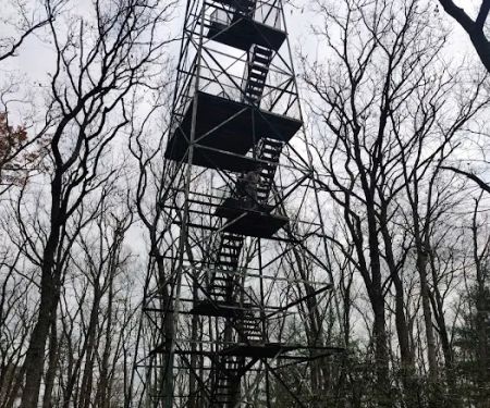 Cook Forest Group Sites