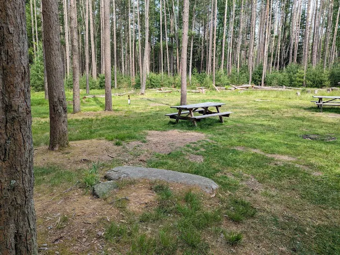 Cook Forest Group Sites Picture 4