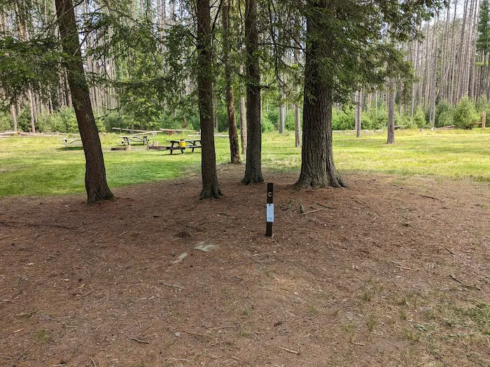 Cook Forest Group Sites Picture 6