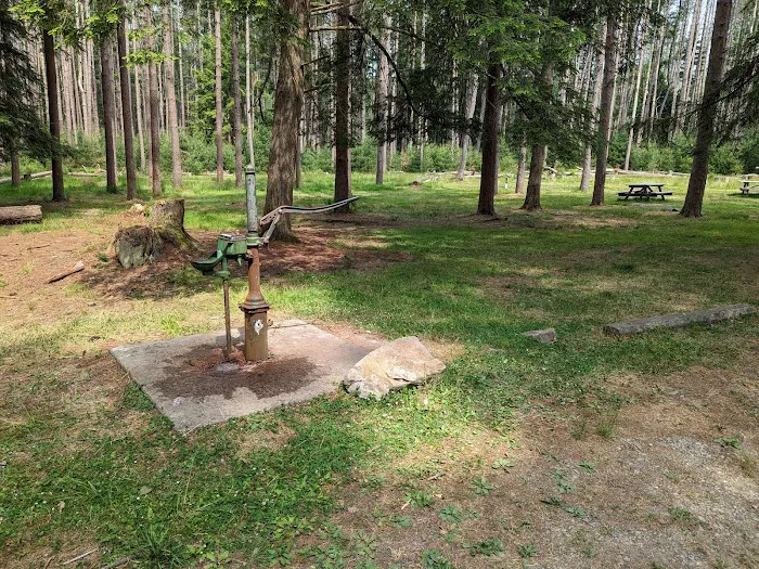 Cook Forest Group Sites Picture 7