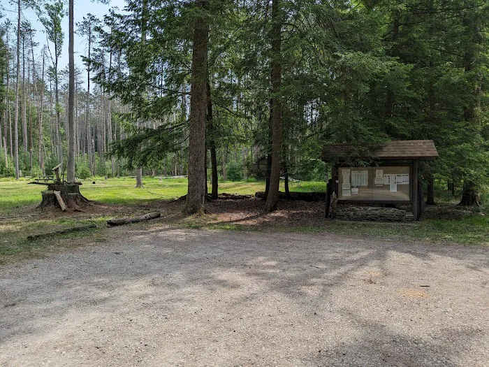 Cook Forest Group Sites Picture 8