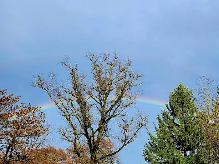 Cook Forest Group Sites Picture 9