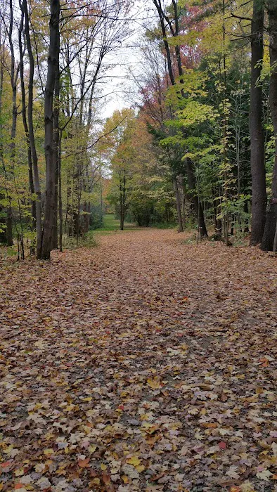 Wildwood Acres Campground Picture 3