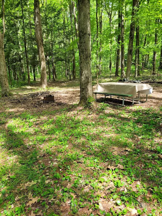 Wildwood Acres Campground Picture 10