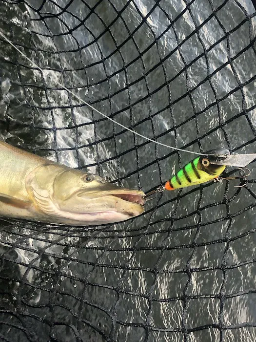 Wildwood Acres Campground Picture 7