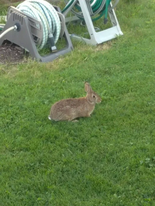 Peachie's Lakeside Camping Picture 9