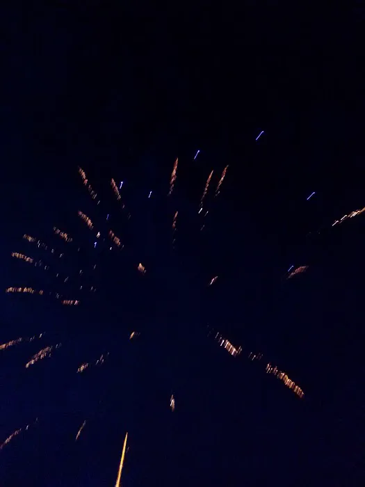 Peachie's Lakeside Camping Picture 4