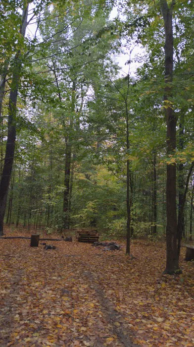 NYS DEC Designated Campsite Picture 3