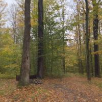 NYS DEC Designated Campsite ico