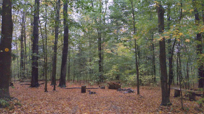 NYS DEC Designated Campsite Picture 2