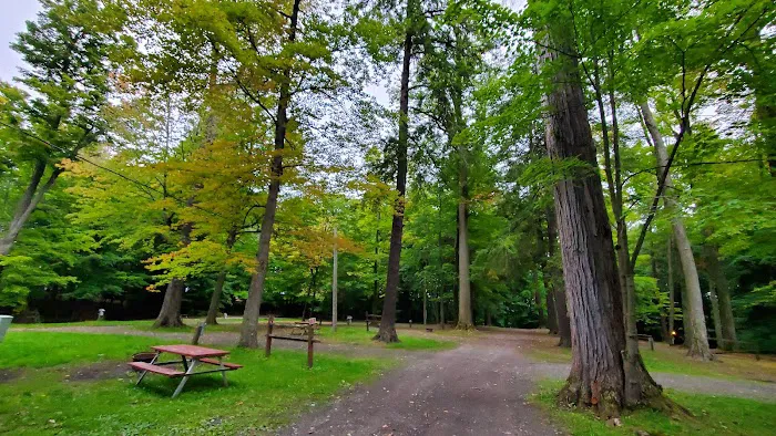 Camp Chautauqua Picture 1