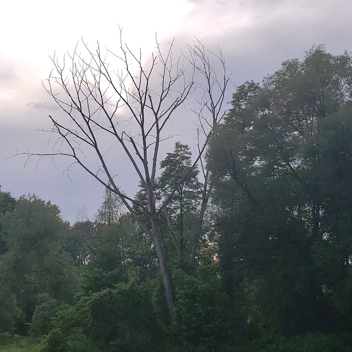 Camp Prendergast Picture 5