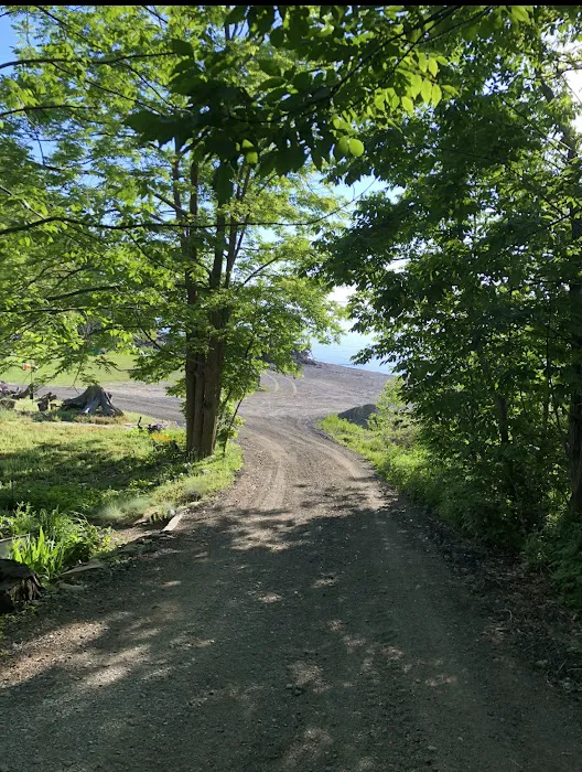 DJ's Campground Picture 7