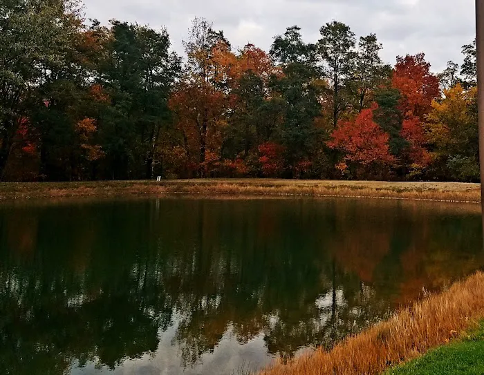 Westfield / Lake Erie KOA Journey Picture 4