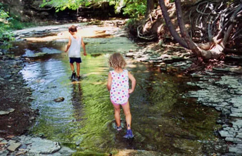 Westfield / Lake Erie KOA Journey Picture 6