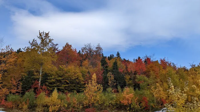 Cannon Mountain RV Park Picture 10
