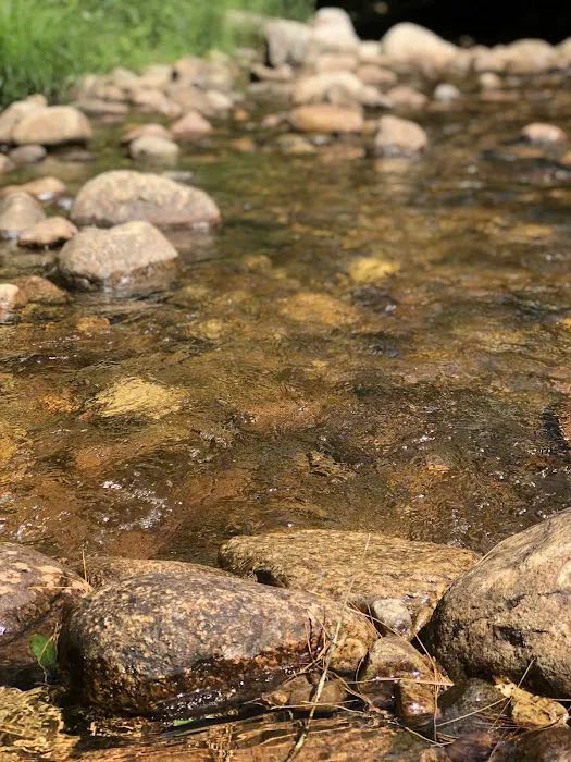 Fransted Family Campground & RV Park Picture 1