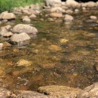 Fransted Family Campground & RV Park ico