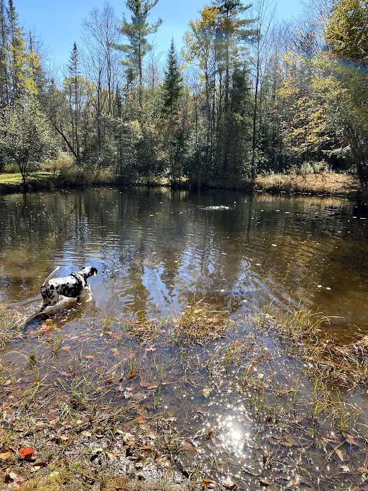 Apple Hill Campground Picture 8