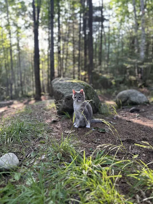 Apple Hill Campground Picture 5