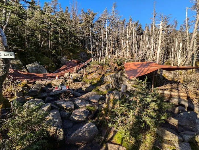 Garfield Ridge Campsite and Shelter, Appalachian Trail Picture 2