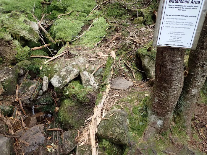 Garfield Ridge Campsite and Shelter, Appalachian Trail Picture 4