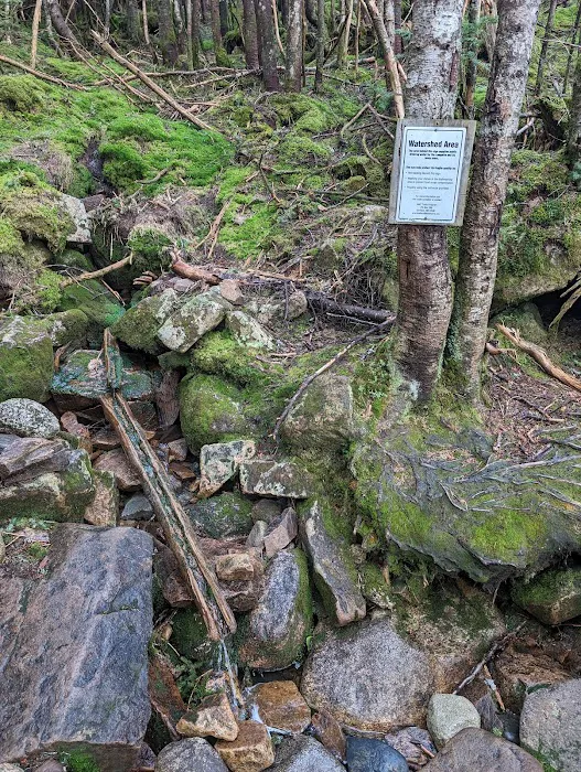 Garfield Ridge Campsite and Shelter, Appalachian Trail Picture 10
