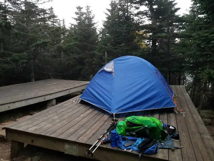 Garfield Ridge Campsite and Shelter, Appalachian Trail Picture 6