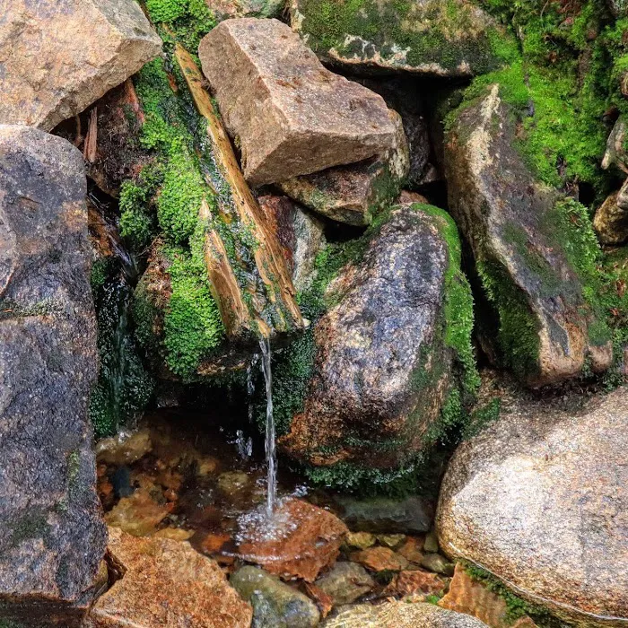 Garfield Ridge Campsite and Shelter, Appalachian Trail Picture 8