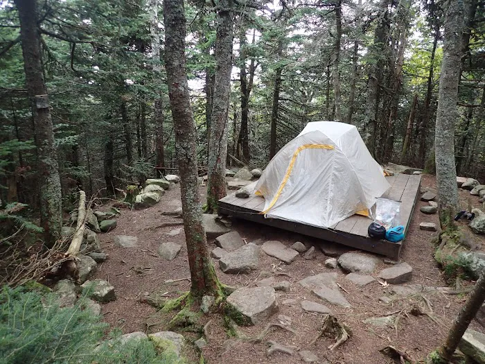 Garfield Ridge Campsite and Shelter, Appalachian Trail Picture 5