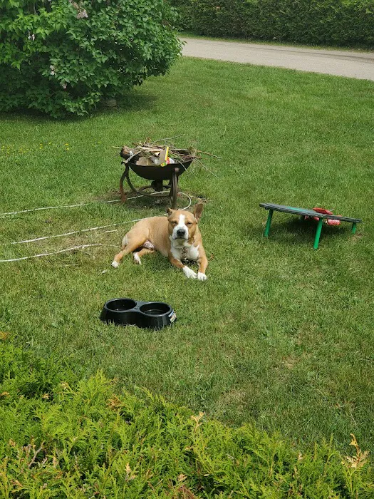 Blue Haven Campground and Resort Picture 8