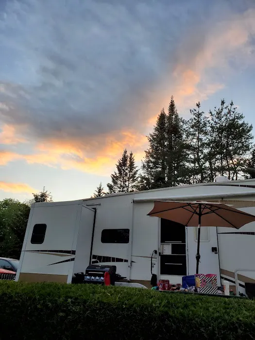 Blue Haven Campground and Resort Picture 5