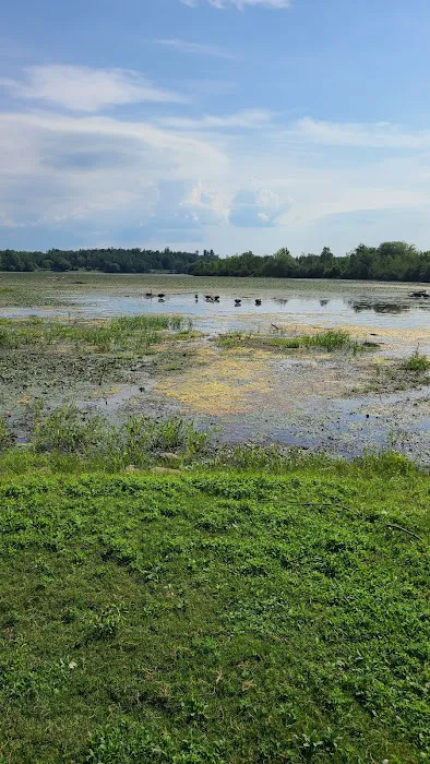 Blue Haven Campground and Resort Picture 3