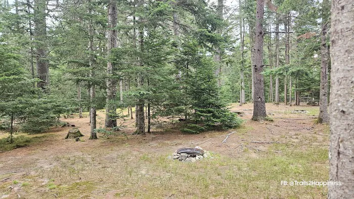 Beech Hill Campground Picture 3