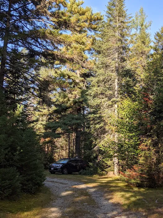 Beech Hill Campground Picture 2